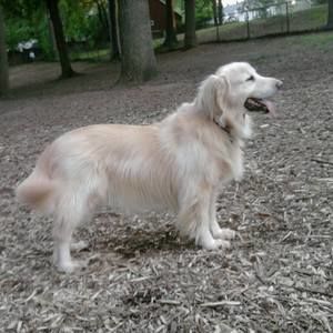 Meet your Posher, Sharon